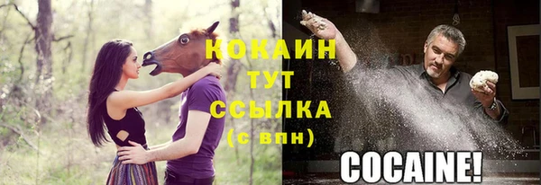 кристаллы Покровск